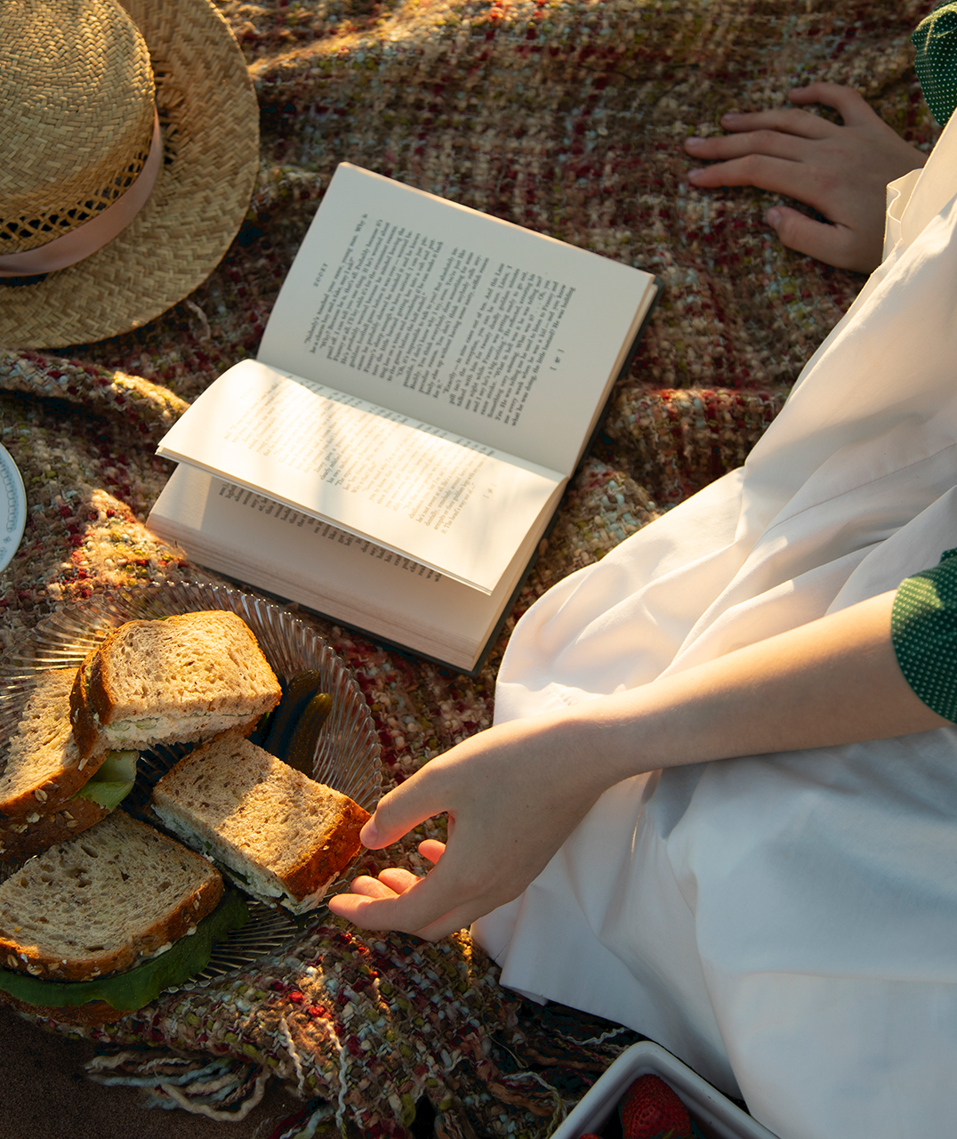 A cozy picnic scene with a person sitting on a textured blanket. An open book lies nearby, with warm sunlight casting soft shadows across the pages. There is a plate of neatly cut sandwiches and a straw hat beside the book. The person is wearing a white dress with green sleeves and is reaching for a sandwich. A container of strawberries is partially visible at the bottom of the image. - Cavendish Literary Festival
